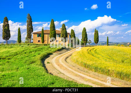 Beeindruckende autukn Landschaft, Blick Agriturismo mit traditionellen Zypressen, Pienza, Toskana, Italien. Stockfoto