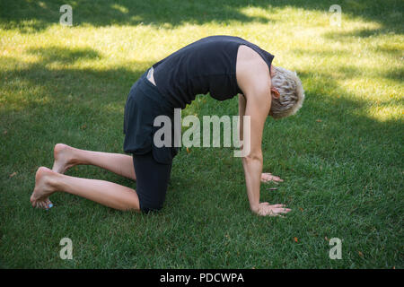 Seitenansicht der Frau Yoga und Katze auf Gras pose in Park Stockfoto