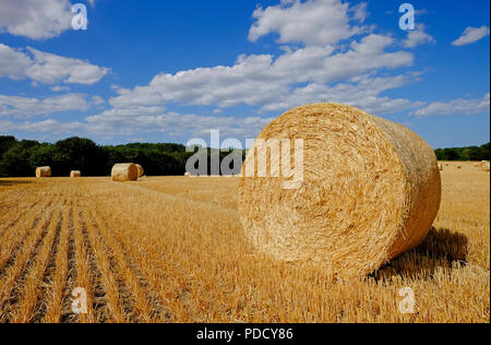 Heuballen auf abgeernteten Weizenfeld Ernte, North Norfolk, England Stockfoto