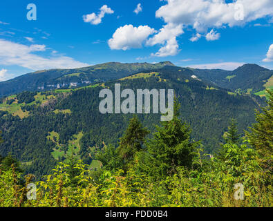 Blick von der Harderkulm in der Schweiz im Sommer Stockfoto