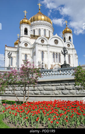 Die Christ-Erlöser-Kathedrale, die von Blumen im Frühjahr gerahmt Stockfoto