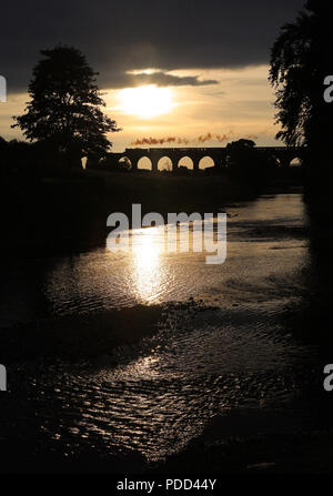 61994Köpfe über Whalley Viadukt am 28.8.13 Stockfoto