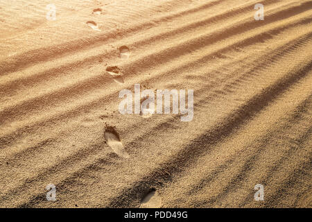 Menschliche schuh Spuren auf nassem Sand Oberfläche in der Nähe Meer oder Ozean. Sonnenaufgang oder snset leuchtet. Helle Sommer Hintergrund Stockfoto