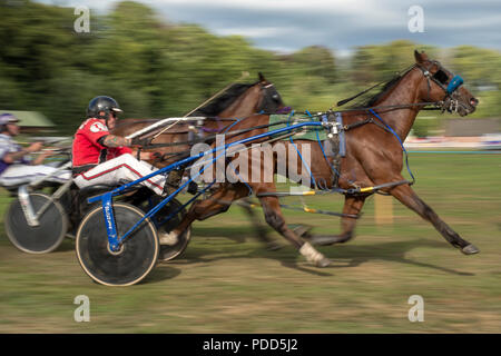 Turriff, Schottland - 06.August 2018: Sulky Laufen am Turriff Agricultural Show 2018 Stockfoto