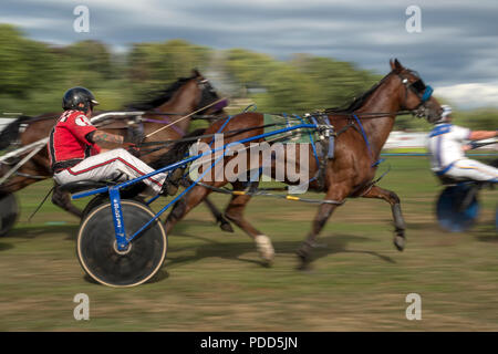 Turriff, Schottland - 06.August 2018: Sulky Laufen am Turriff Agricultural Show 2018 Stockfoto