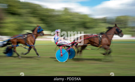 Turriff, Schottland - 06.August 2018: Sulky Laufen am Turriff Agricultural Show 2018 Stockfoto