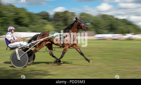 Turriff, Schottland - 06.August 2018: Sulky Laufen am Turriff Agricultural Show 2018 Stockfoto