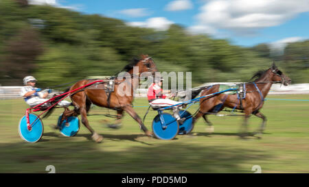 Turriff, Schottland - 06.August 2018: Sulky Laufen am Turriff Agricultural Show 2018 Stockfoto