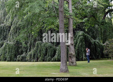 Newport, Rhode Island - Juli 26, 2018: ein Mann in kleinen Stadtpark in Newport, Rhode Island Stockfoto