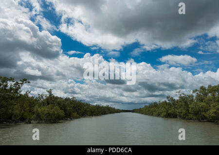 Sunderbans Tiger Reserve während der Monsun in Indien Stockfoto