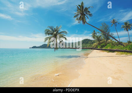Coconut Palm Tree über Sommer Strand Meer in Phuket, Thailand. Sommer, Reisen, Ferien und Urlaub Konzept