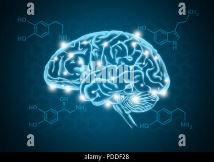 Menschliche Gehirn Abbildung mit Hormon biochemische Konzept Hintergrund Stockfoto