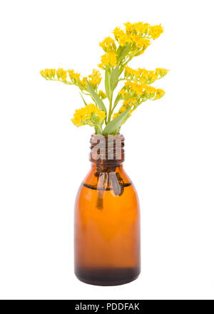Mit ätherischen Öl und frischen Blumen Flasche. Medizin Flasche oder kosmetische Produkt. Stockfoto