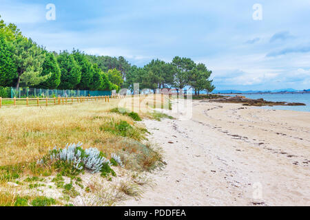 Coastal Dune und Bäume am Strand Salinas in de Arousa, Galizien, Spanien Stockfoto