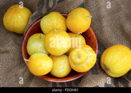 Zitrone Gurken, auch als Cucumis sativus in eine hölzerne Schüssel bekannt, auf eine rustikale hessische Hintergrund. Stockfoto