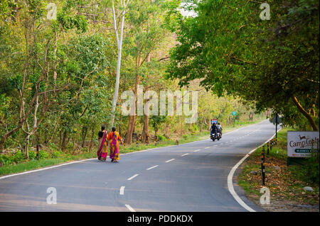 Indischer womans in traditionellen Saris zu Fuß auf der Straße Kaladhungi-Naini Tal in der Nähe von Kaladhungi, Uttarakhand, Indien Stockfoto