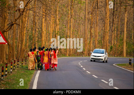 Indischer womans in traditionellen Saris auf der Straße Kaladhungi-Naini Tal in der Nähe von Kaladhungi, Uttarakhand, Indien Stockfoto