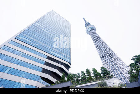 Business Konzept für Immobilien und Corporate Konstruktion: die Suche nach Ansicht von Tokyo Skytree, das Wahrzeichen von Japan mit weißem Hintergrund Stockfoto