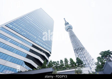 Business Konzept für Immobilien und Corporate Konstruktion: die Suche nach Ansicht von Tokyo Skytree, das Wahrzeichen von Japan mit weißem Hintergrund Stockfoto