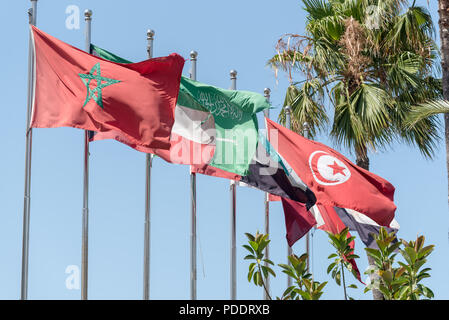 Flaggen der MENA-Region (Naher Osten und Nordafrika auf eine Reihe von fahnenmasten einschließlich der nationalen Flagge von Marokko, Kuwait, Saudi Arabien, Vereinigte Arabische Emirate, Stockfoto