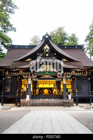 Katori Jingu Schrein in grünen Wald. Geschichte-Kultur-Erbe in Chiba Präfektur, Japan Stockfoto