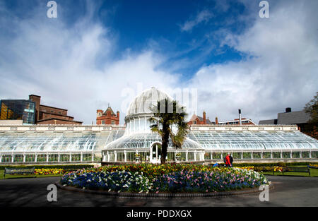 Glas Palmenhaus im Botanischen Garten in Belfast. Stockfoto