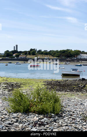 Bordeaux Hafen an der Küste Guernsey ist ein geschütztes und beliebter Ort für Freizeitboote. Trocknung bei niedrigen Wasser mit vielen Felsen erfordert Stockfoto