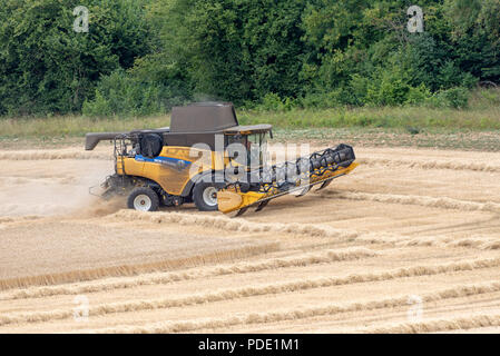 Mähdrescher bei der Arbeit auf landwirtschaftlichen Nutzflächen in der Erntezeit in Hampshire, England, Großbritannien Stockfoto
