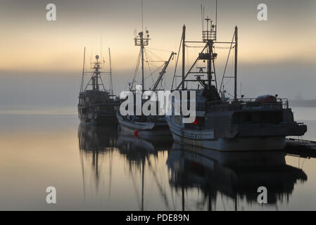 Fishboats nebeliger Morgen. Dämmerung über dem Hafen von Steveston, British Columbia, Kanada in der Nähe von Vancouver. Steveston ist ein kleines Fischerdorf am Ufer Stockfoto