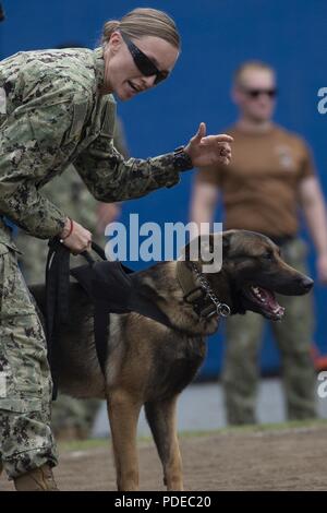 U.S. Navy Petty Officer 1st Class Mickie Lester, Kommandant der Flotte Aktivitäten Yokosuka Militär Hundeführer, wird fertig zu lösen Ihre MWD Ttibor ein Köder während 2018 United States Forces Japan Top Dog Wettbewerb Mai 17, 2018 zu unterwerfen. Der lockvogel ist ein MWD-Handler, trägt eine persönliche Schutzkleidung, die der Hund unterwerfen, ein Verdächtiger in der richtigen Weise zu üben. Während des gesamten Wettbewerbs MWD und K-9 Handler von der Luftwaffe, Marine, Militär, Japan Air Verteidigung-kraft, Tokyo Metropolitan Police Department und Tokio Zoll würde als Lockvogel drehen, setzen ihre Fähigkeiten zu konkurrieren. Stockfoto