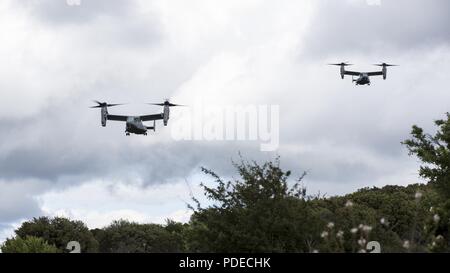 Us Marine Corps MV-22 Fischadler mit speziellen Zweck Marine Air-Ground Task Force-Crisis Response-Africa Ansatz der Landezone für die Teilnahme an einem taktischen Recovery von Flugzeugen und Personal (Trap) Training Mission während der Joint STARS, ein bilaterales Training übung mit der Italienischen Streitkräfte und US-Marines, in Salto di Quirra, Sardinien, 15. Mai 2018. SPMAGTF-CR-AF eingesetzt Krise - Reaktion und Theater - Security Operations in Europa und Nordafrika zu führen. Stockfoto
