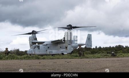 Us-Marines mit speziellen Zweck Marine Air-Ground Task Force-Crisis Response-Africa bieten Sicherheit für ein MV-22 Osprey auf taktischer Recovery von Flugzeugen und Personal (Trap) Training Mission während der Joint STARS, ein bilaterales Training übung mit der Italienischen Streitkräfte und US-Marines, in Salto di Quirra, Sardinien, 15. Mai 2018. SPMAGTF-CR-AF eingesetzt Krise - Reaktion und Theater - Security Operations in Europa und Nordafrika zu führen. Stockfoto