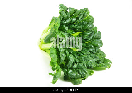 Chinesische flachbild Kohl (Brassica chinensis) oder Tah Tsai Kopfsalat isoliert auf weißem Stockfoto