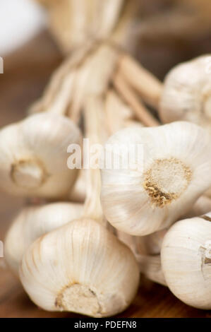 Knoblauchzehen, Melbourne, Victoria, Australien Stockfoto