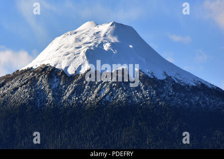 Patagonien, Sektor Hornopiren Stockfoto