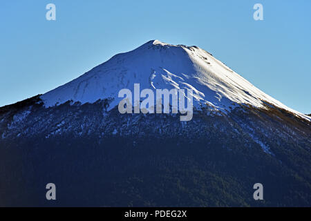 Patagonien, Sektor Hornopiren Stockfoto