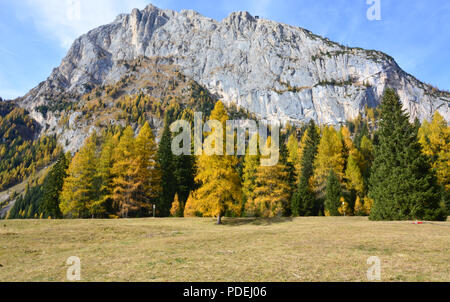 Einen schönen Herbst auf den Italienischen Alpen Stockfoto