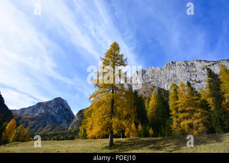 Einen schönen Herbst auf den Italienischen Alpen Stockfoto