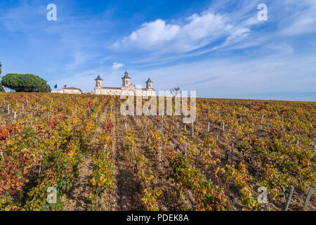 Frankreich, Gironde, Medoc, Saint Estephe, Chateau Cos d'Estournel und die Weinberge (Luftbild) // Frankreich, Gironde (33), Médoc, Saint-Estèphe Château Stockfoto