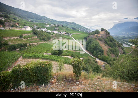 Landschaft mit Weinbergen, in der die Schweizer Grafschaft Wallis oder Wallis Stockfoto