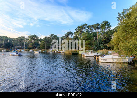 Frankreich, Gironde, Côte d'Argent, Lacanau, Lacanau See, Longarisse Bay // Frankreich, Gironde (33), Côte d'Argent, Lac de Lacanau, Lacanau, Baie de Longari Stockfoto