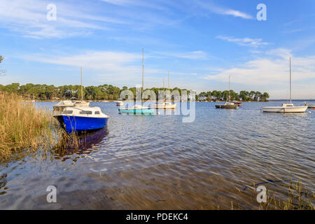 Frankreich, Gironde, Côte d'Argent, Lacanau, Lacanau See, Longarisse Bay // Frankreich, Gironde (33), Côte d'Argent, Lac de Lacanau, Lacanau, Baie de Longari Stockfoto