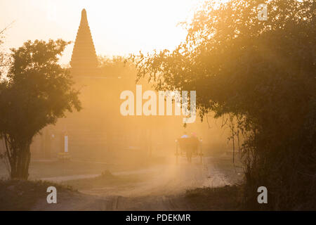 Touristen, die ein Pferd und Wagen fahren an Tempeln, Stupas in der Abendsonne in Bagan, Myanmar (Birma), Asien im Februar Stockfoto