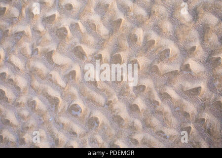 Sand Muster auf einem Strand, Yuraygir National Park, NSW, Australien Stockfoto