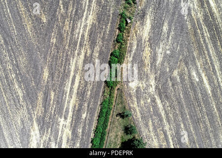 Abstrakte Luftaufnahme von dem spitzen Ende ein Fischteich mit einer Reihe von Bäumen neben geerntet Ackerland. Stockfoto