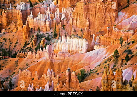 Die hoch aufragenden hoodoos Glühen am bürgerlichen Dämmerung vom Sunset Point in Utah Bryce Canyon National Park. Stockfoto