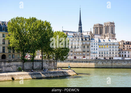 Blick auf die Ile de la Cite auf der Seine in Paris, Frankreich, mit Notre-Dame de Paris Kathedrale ragt über dem Gebäude, die durch einen sonnigen Tag. Stockfoto