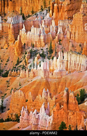 Die hoch aufragenden hoodoos Glühen am bürgerlichen Dämmerung vom Sunset Point in Utah Bryce Canyon National Park. Stockfoto