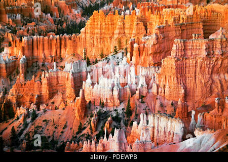 Die hoch aufragenden hoodoos Glühen am bürgerlichen Dämmerung vom Sunset Point in Utah Bryce Canyon National Park. Stockfoto