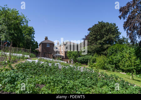 Die restaurierte Küche Garten an der Rückseite des Workhouse Museum, Ripon, North Yorkshire; viktorianische Garten Techniken werden verwendet, um Pflanzen zu kultivieren. Stockfoto